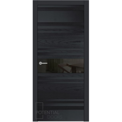 Potential Doors 409.57 ДО Чёрный 9005 Зеркало графит