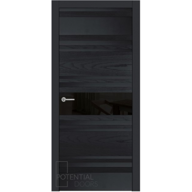 Potential Doors 409.57 ДО Чёрный 9005 Лакобель черный