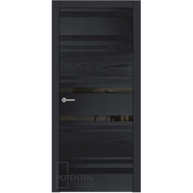 Potential Doors 409.74 ДО Чёрный 9005 Зеркало графит